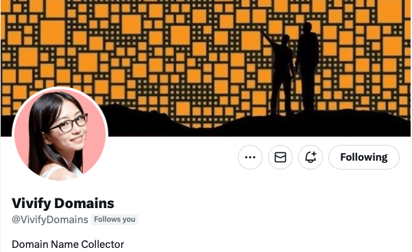 Domaining - What VivifyDomains learned in her first year