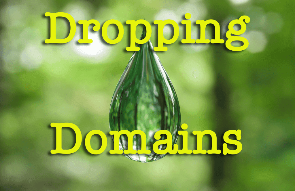 The Beauty of Dropped Domains with Dan Rubin