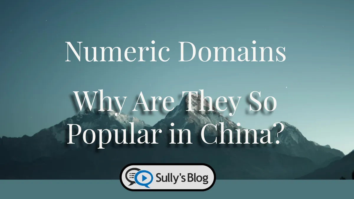 Why Are Number Domains So Popular in China?